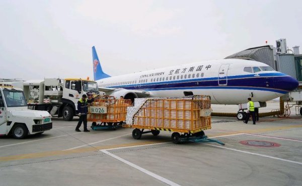 货值破2亿元！菏泽“空中丝路”48小时直通欧美30多国家和地区